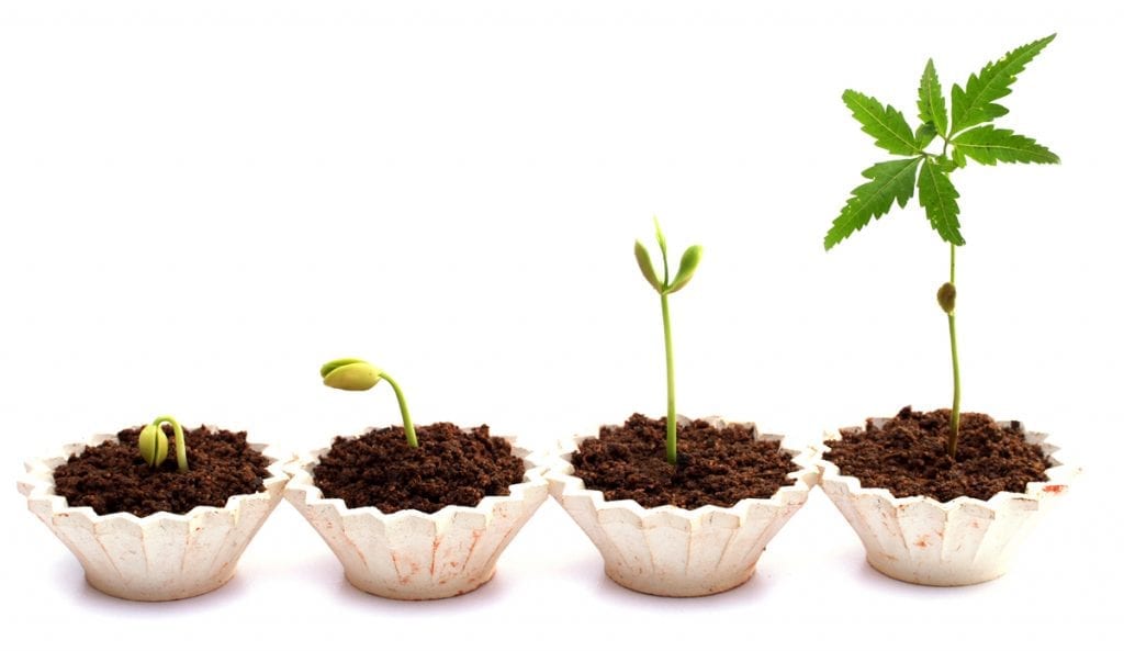 Project Management Maturity Model Project Management Maturity